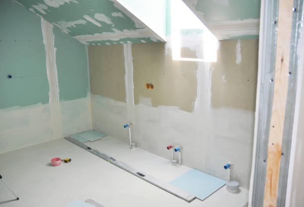 Mold Odor Removal Services in Lake Arbor, MD