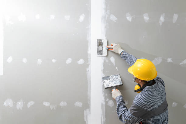 Best Mold Remediation for Healthcare Facilities  in Lake Arbor, MD