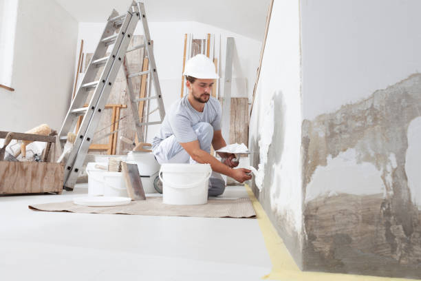 Best HVAC Mold Inspection and Cleaning  in Lake Arbor, MD