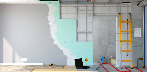 Best Mold Odor Removal Services  in Lake Arbor, MD