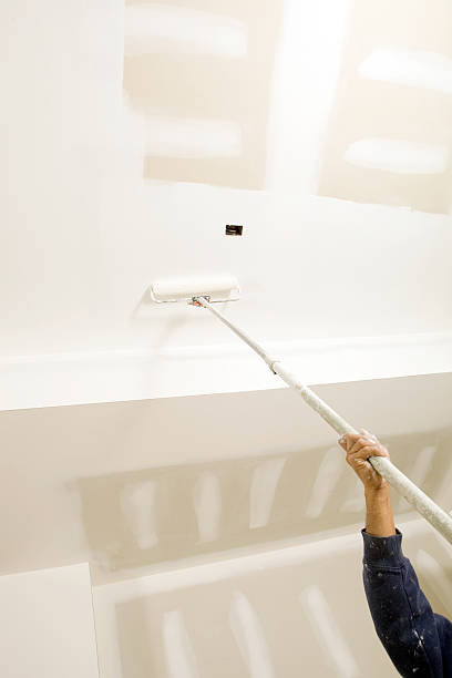 Best Basement Mold Removal  in Lake Arbor, MD