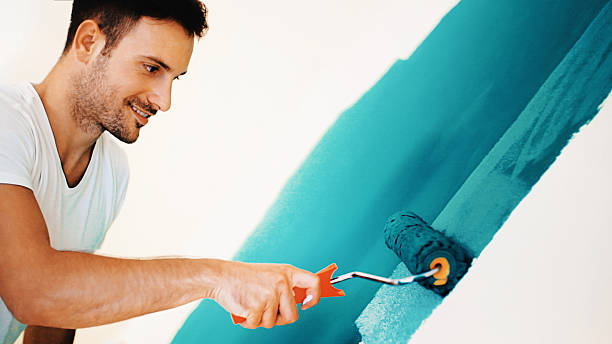 Trusted Lake Arbor, MD Mold Removal Experts