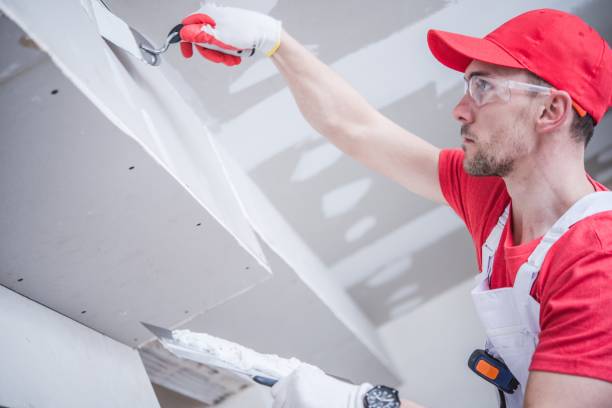 Best Mold Removal for HVAC Installations  in Lake Arbor, MD
